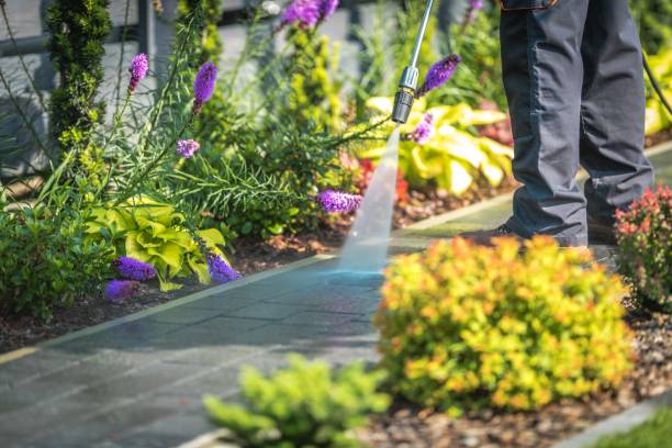 Best House Exterior Washing  in Mishicot, WI